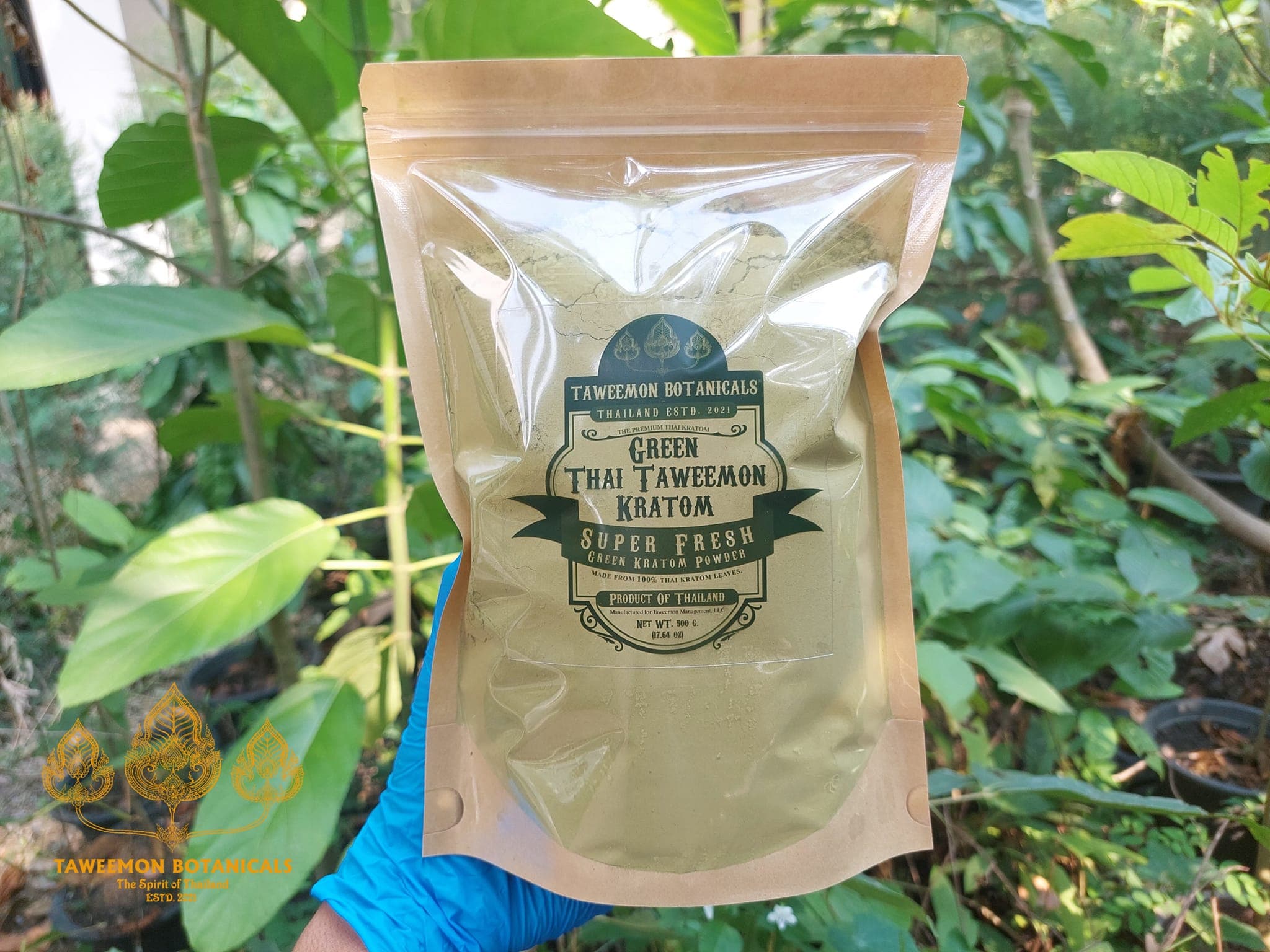 Where to Find Premium Kratom Thailand in Chiang Mai