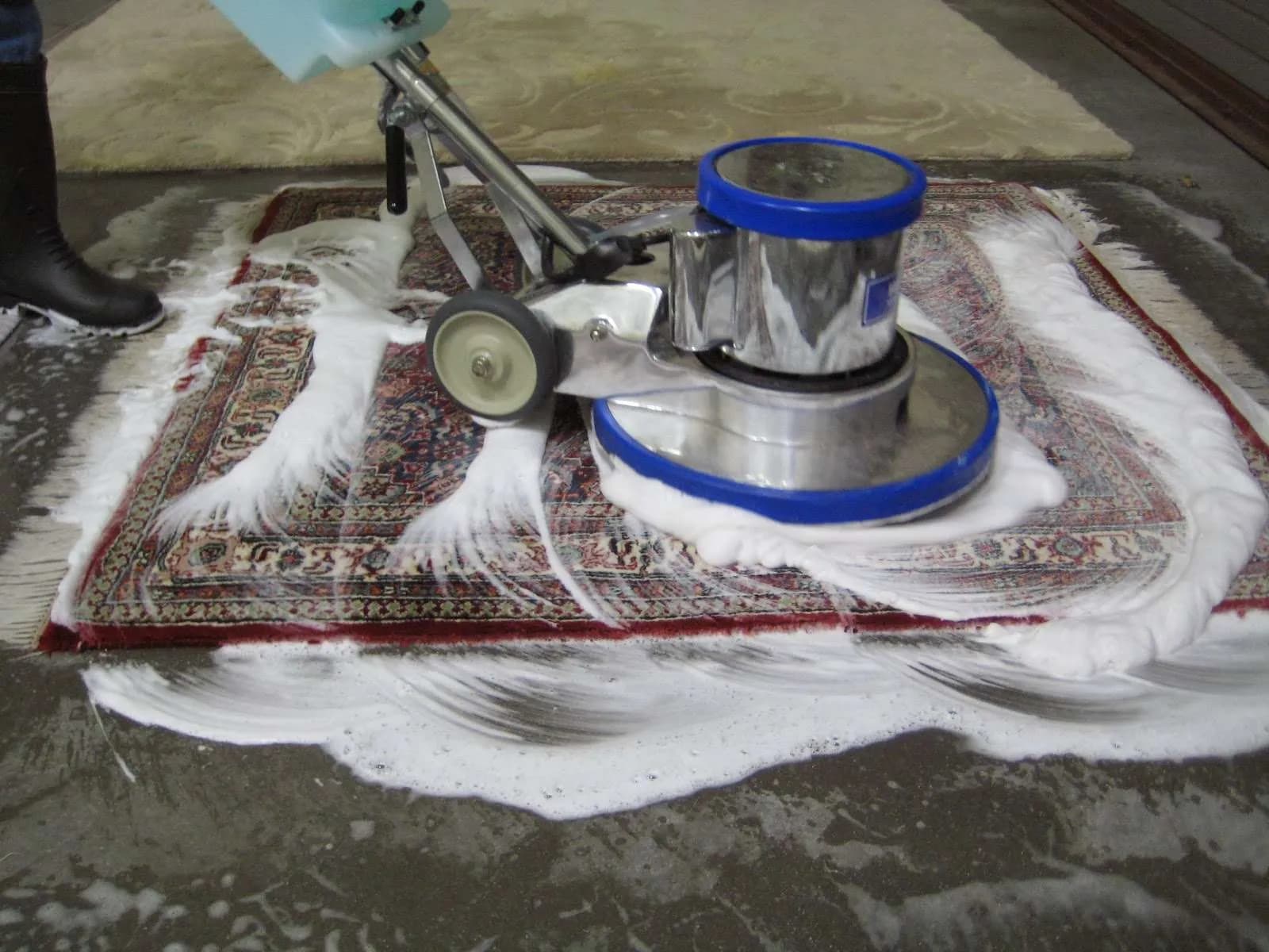 Professional Cleaning Team for carpet cleaning clarksville austin tx