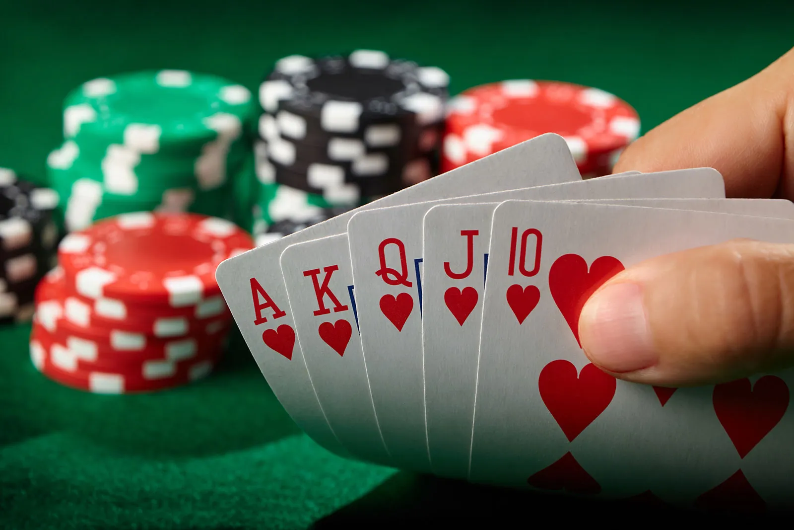 Situs Roda4D dan Komitmennya Menyediakan Layanan Toto yang Transparan