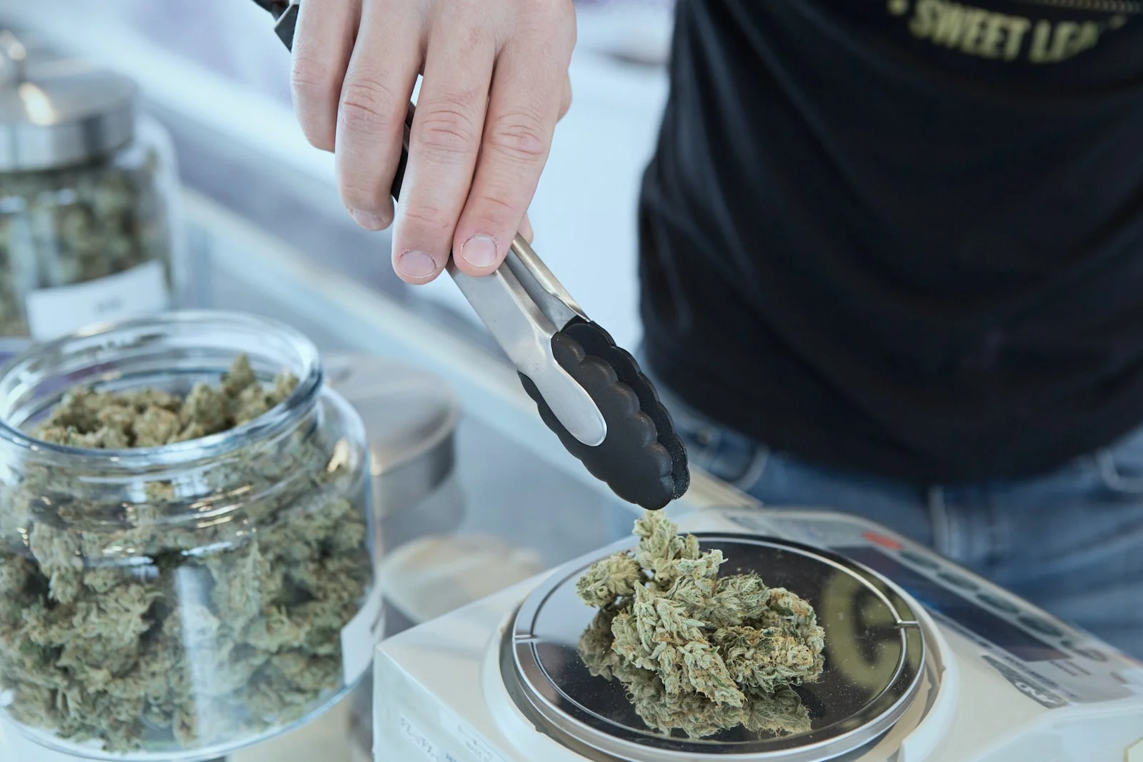 Membership Tips for Cannabis Clubs Lloret de Ma